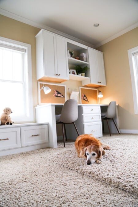 dog resting in kids room