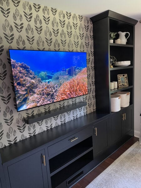 built in cabinet with tv