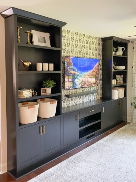 built in cabinet with TV